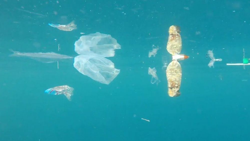 25102021 salvamare 25102021 salvamare