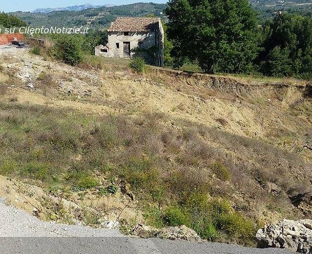 25112015 frana auletta