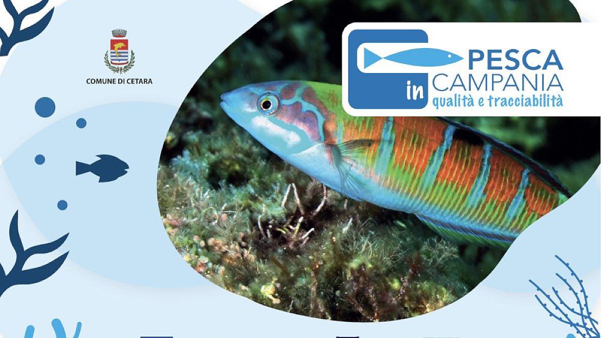 25112023 pescaincampania 25112023 pescaincampania