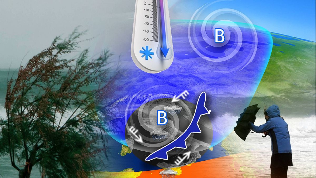 25112025 edii 251125