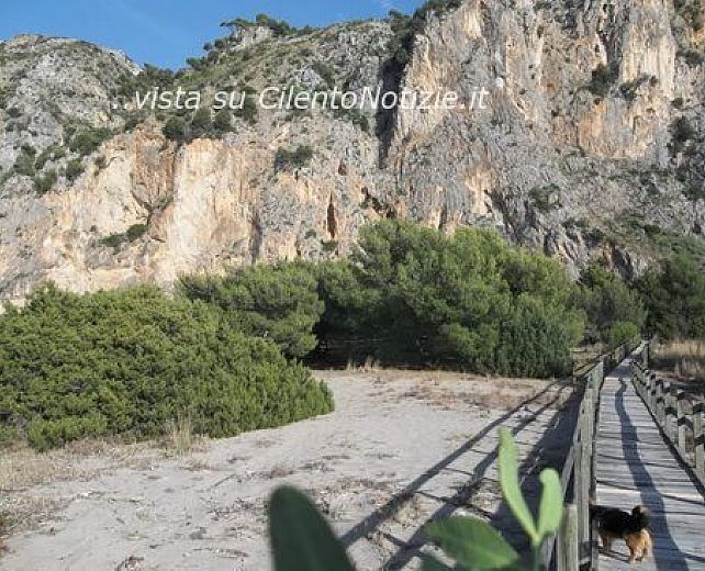 26012014 articolo abbate 01