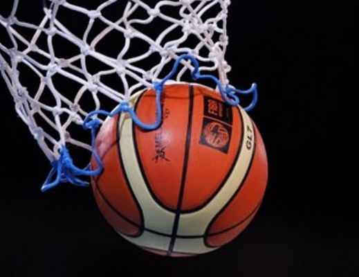 26012014 pallacanestro