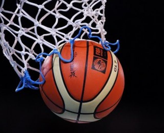 26012014 pallacanestro