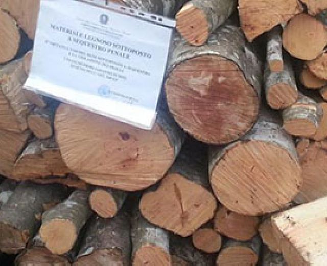 26012016 furto legna