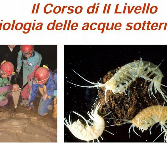 26012017 corso pertosa