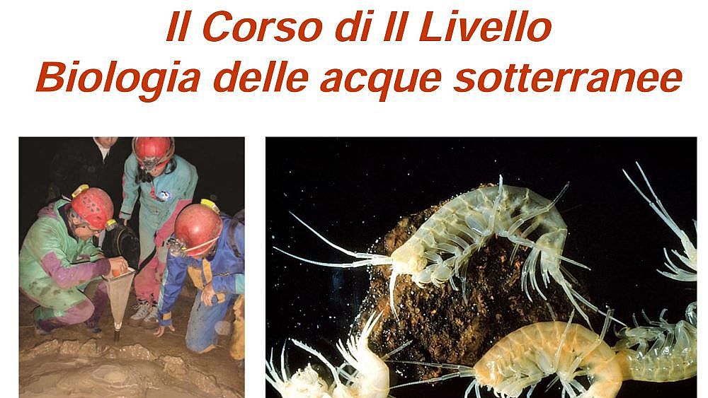 26012017 corso pertosa