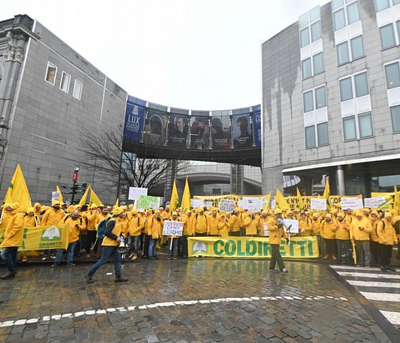 26012026 coldiretti a bruxelles 4