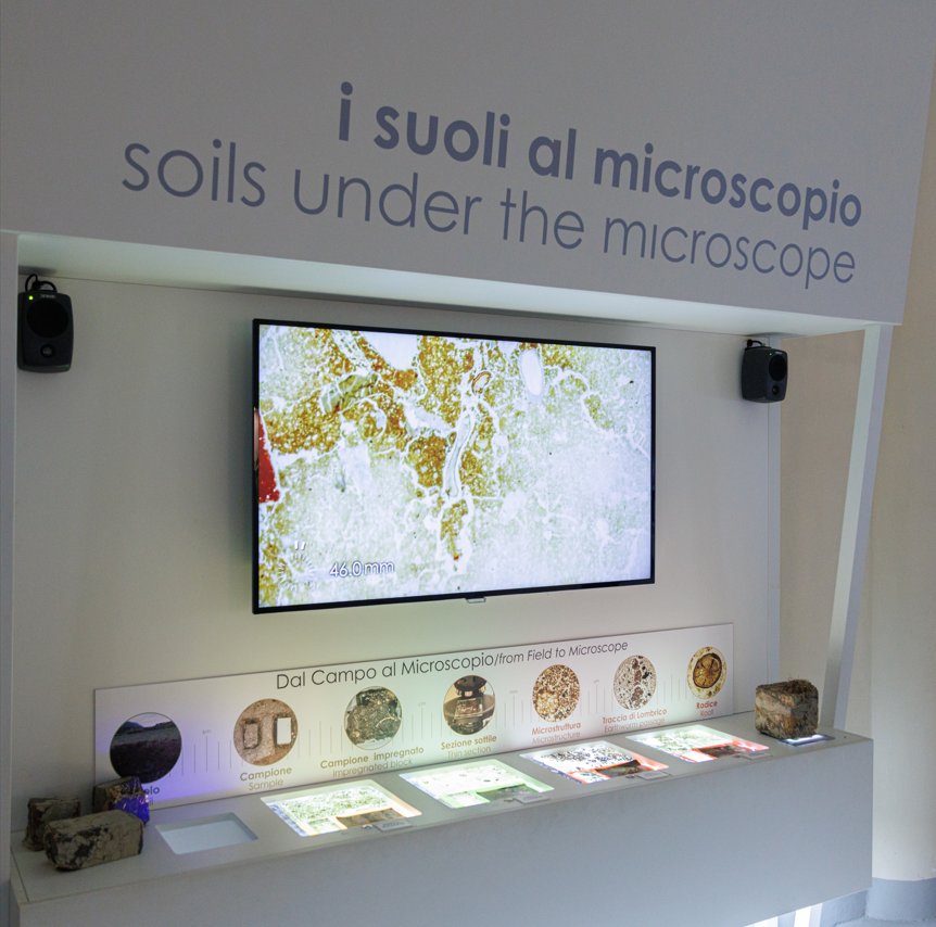 foto dell'interno del museo