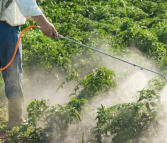 26022016 pesticidi in agricoltura