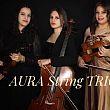 Cilento - Le ultime  Notizie foto - 26022020 aura string trio