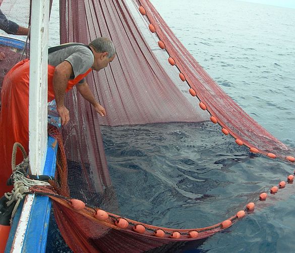 26022021 pesca 2