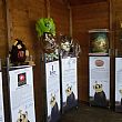 Spettacoli-eventi foto - 26032018 uovo di cioccolato salerno