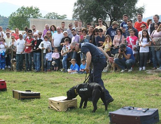 26042013 fiera di vallo 4 zampe