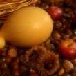 Spettacoli-eventi foto - 26042019 castagne con caciocavallo