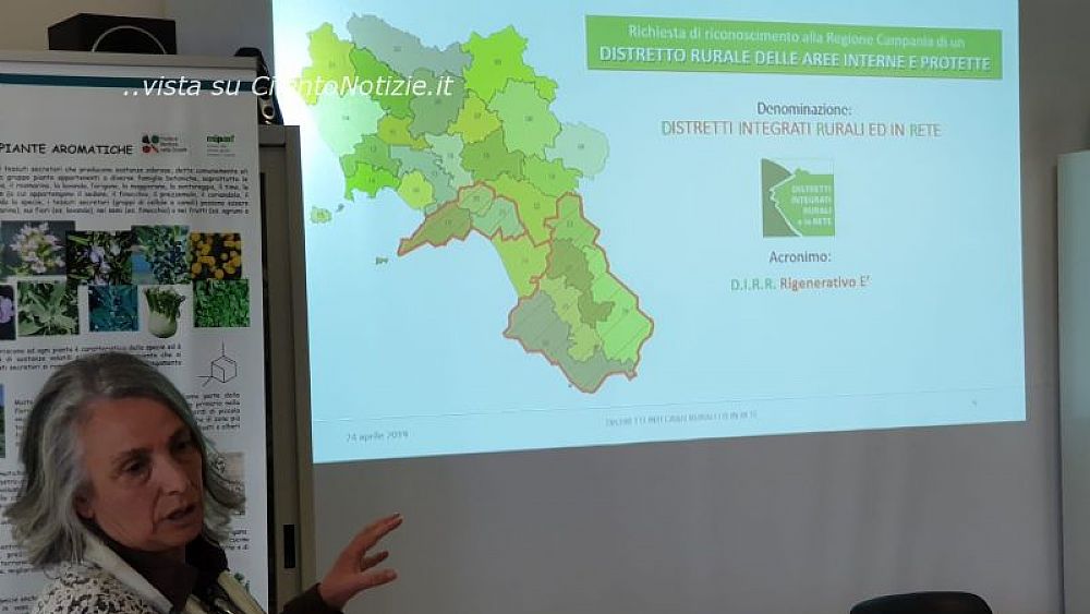 26042019 convegno aree rurali