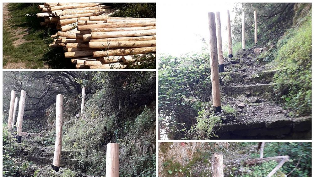 26042021 collage camerota amp 26042021 collage camerota amp