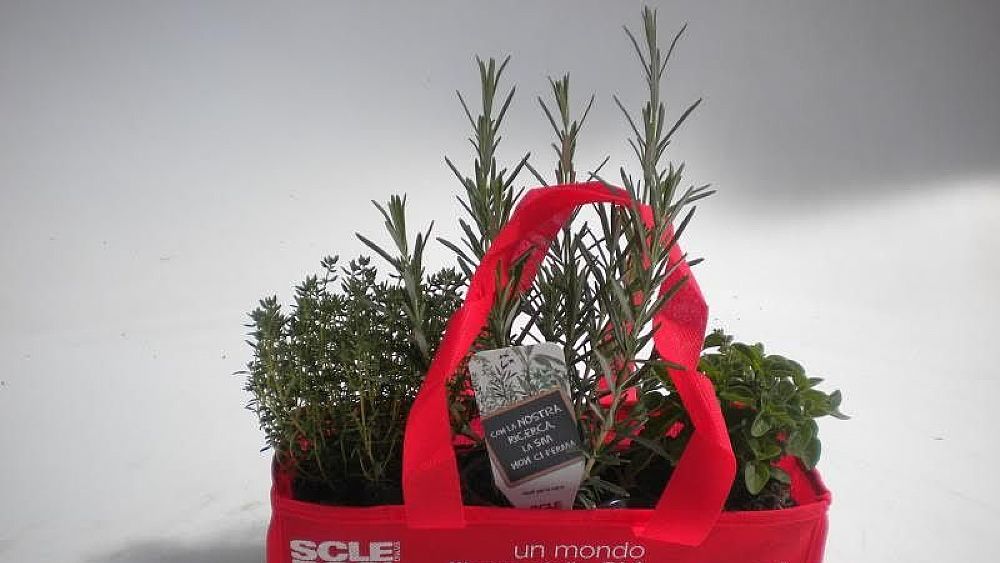 26052017 erbe aromatiche aism