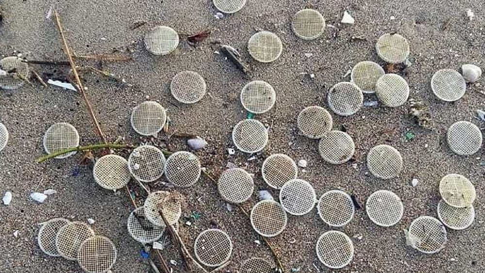 26052021 dischetti di plastica in mare