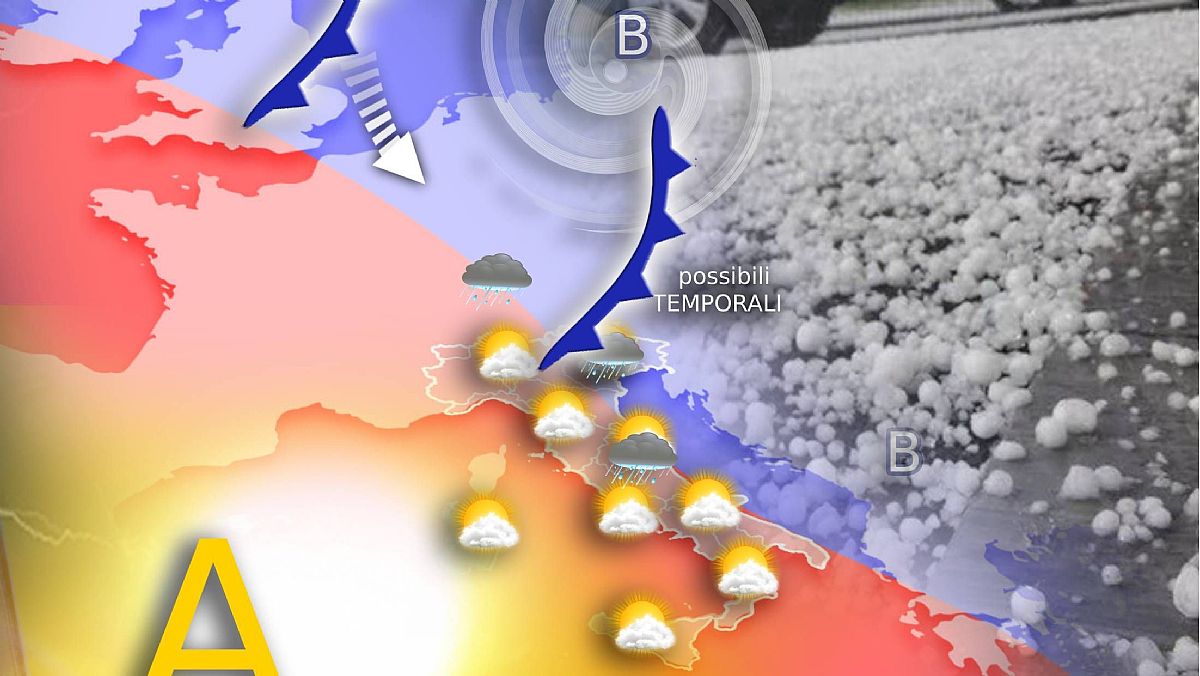 26052025 edi luned 26525 26052025 edi luned 26525