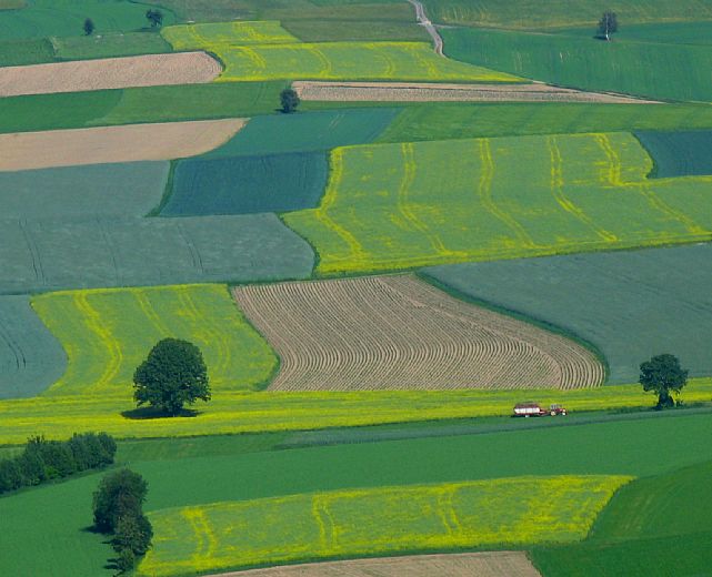 26062013 terreni agricoli