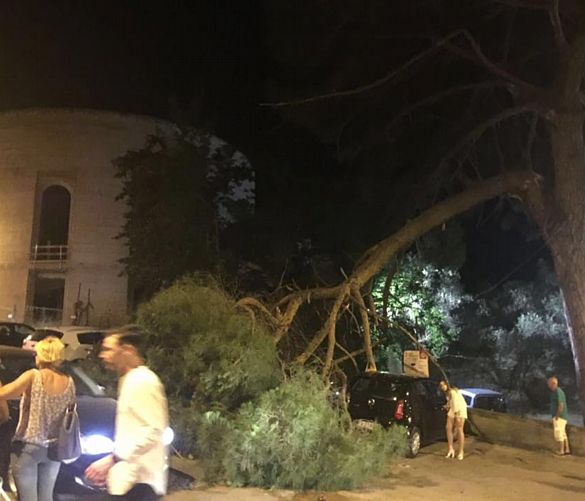 26062016 albero caduto castellabate