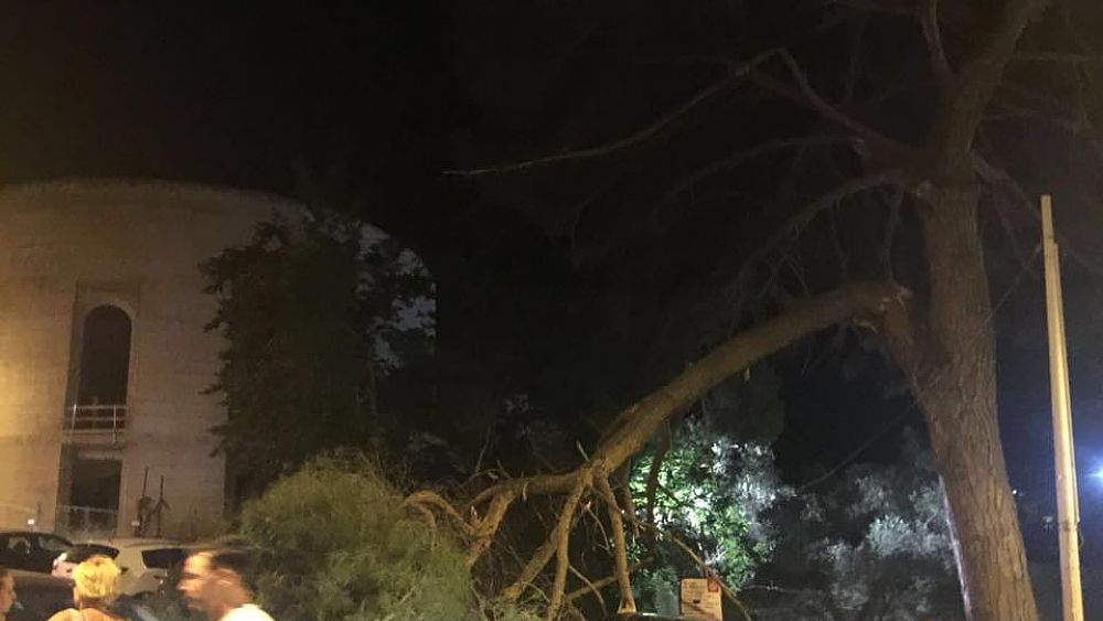 26062016 albero caduto castellabate