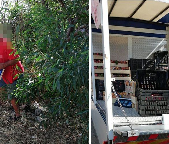 26062019 foto ambulante zo