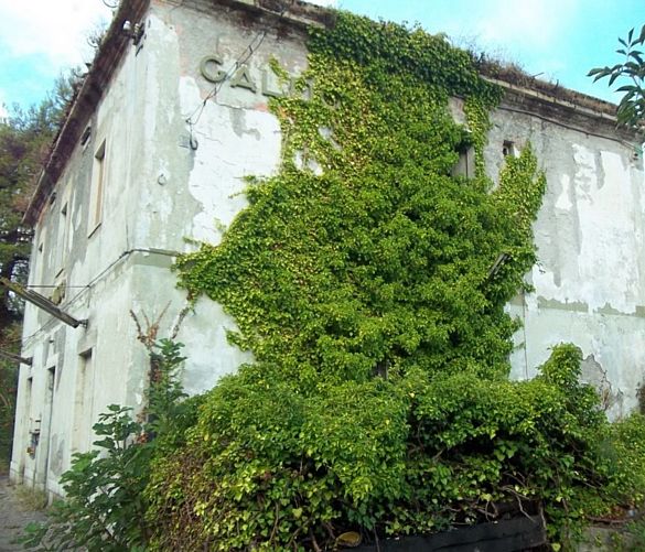 26062023 stazione abbandonata