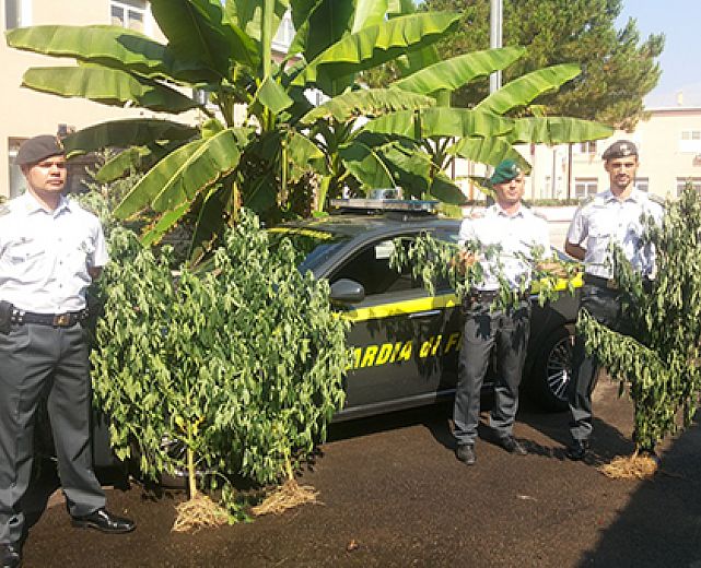26072013 sequestro cannabis Albanella