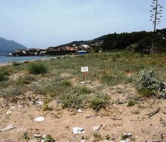 Paolo-Abbate foto - 26072017 spiaggia vibonati