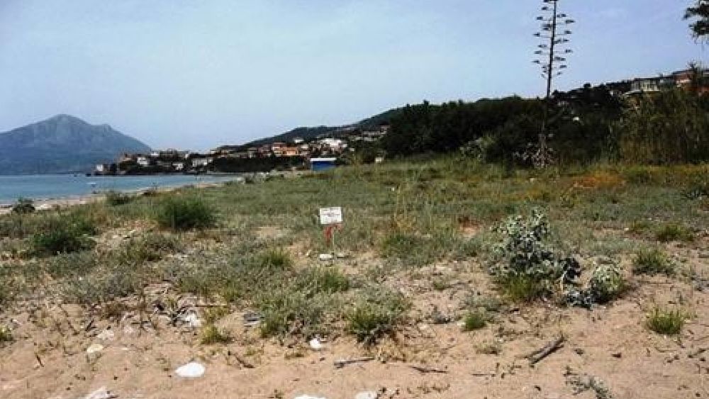 26072017 spiaggia vibonati 26072017 spiaggia vibonati