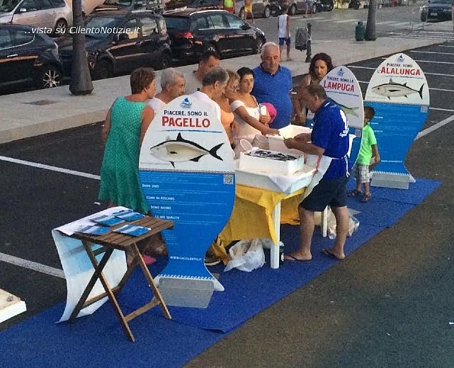 26082015 buon pescato cilentano