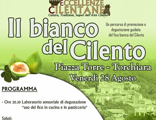 26082015 il bianco del cilento