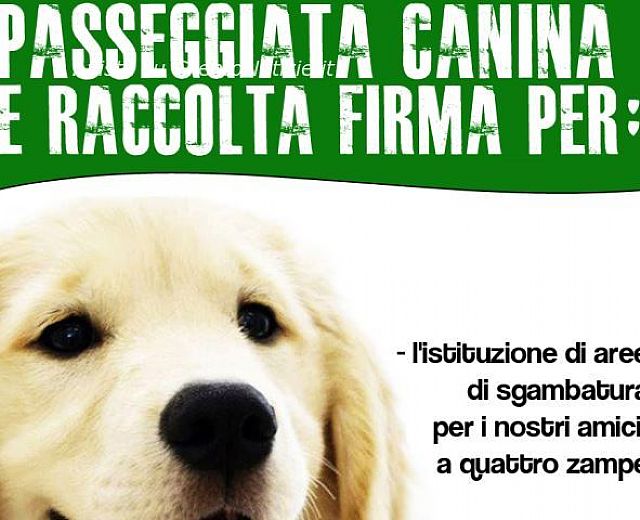 26092013 passeggiata canina2