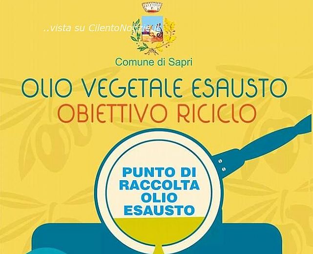 26092014 olio raccolta sapri