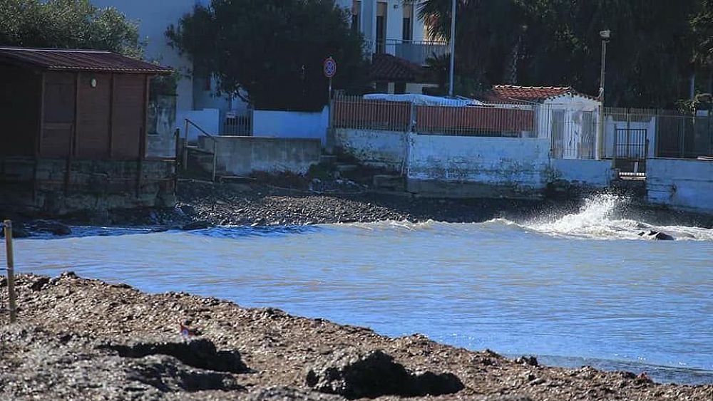 26092018 Posidonia  spiagge