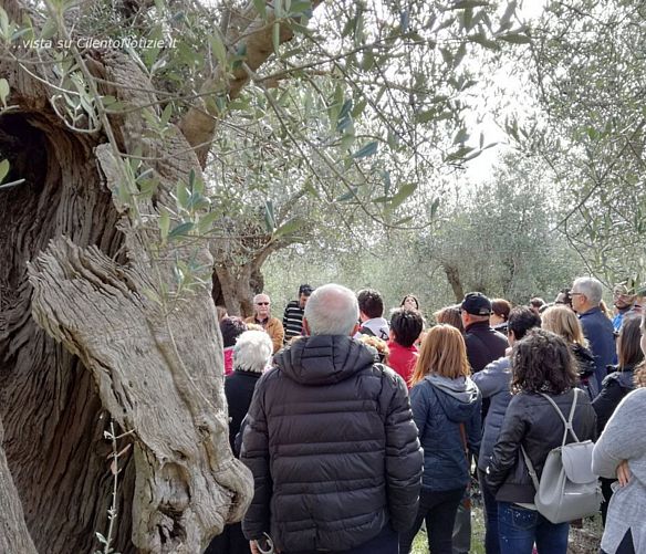 26092018 camminata tra gli olivi