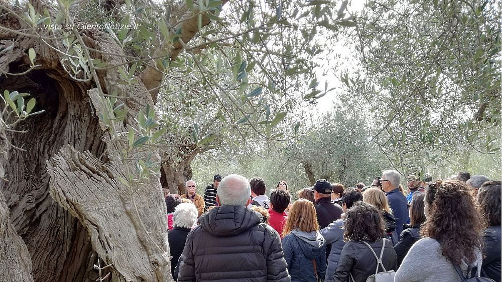 26092018 camminata tra gli olivi