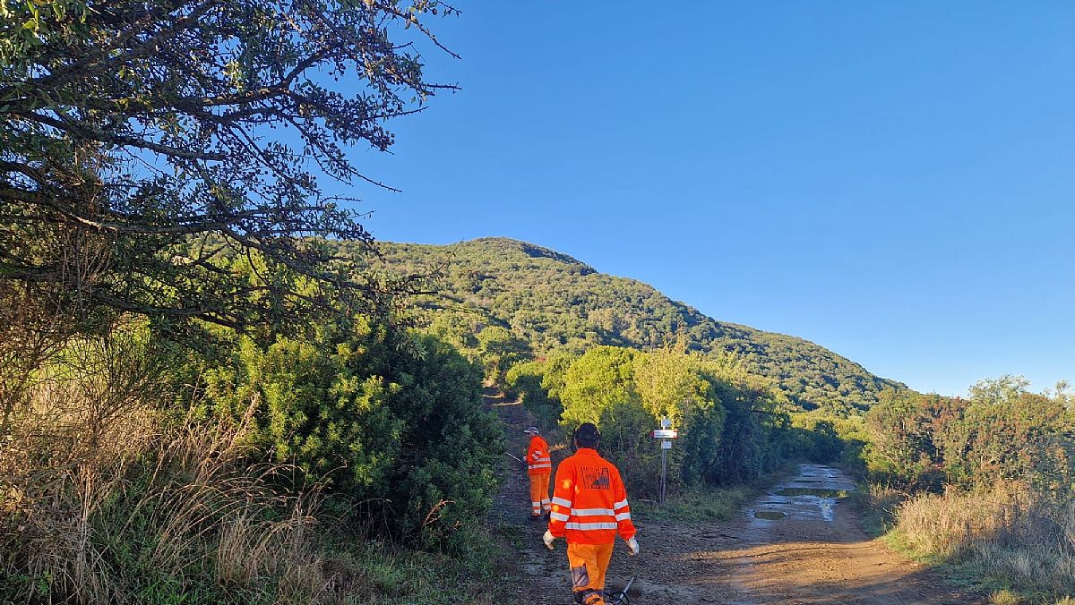 26092024 foto lavori monte tresino