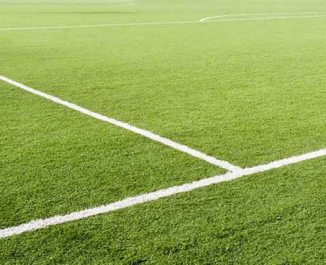 26102015 campi calcio erba naturale 26102015 campi calcio erba naturale