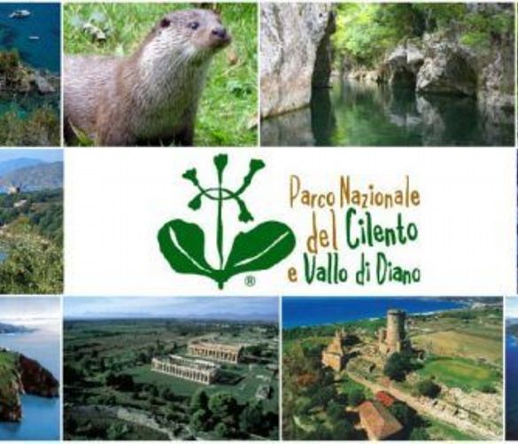 26102018 parco cilento 2
