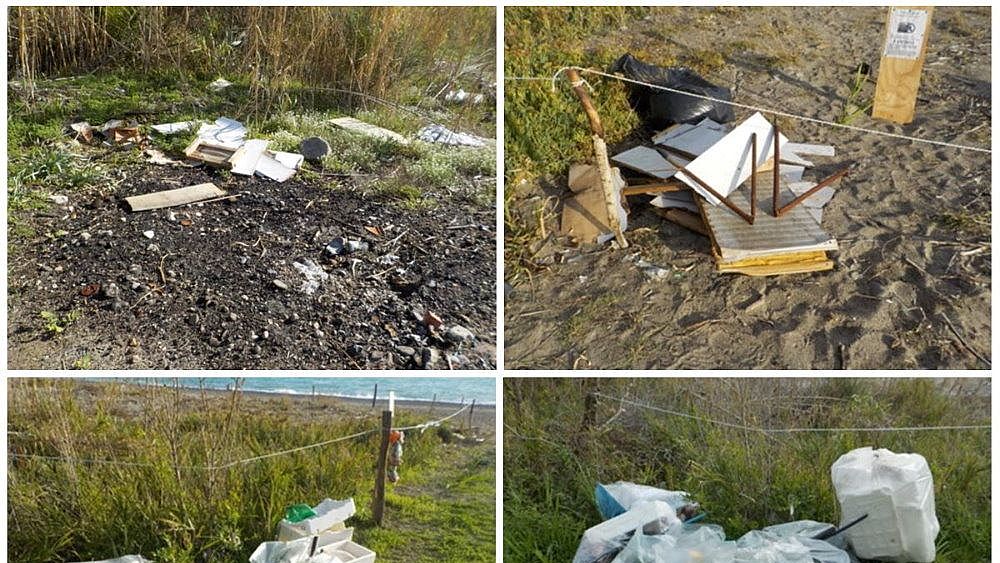 26102020 bonifica collage