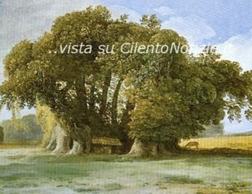 Marisa-Russo foto - 26112013 castagno