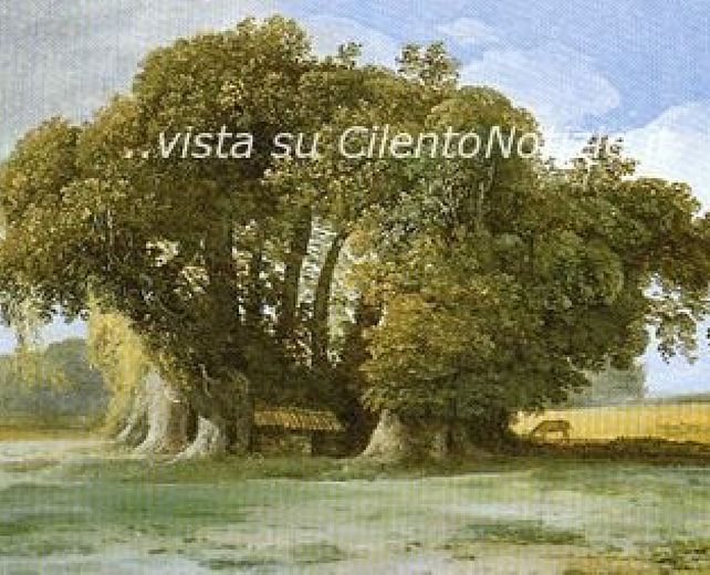 26112013 castagno 26112013 castagno