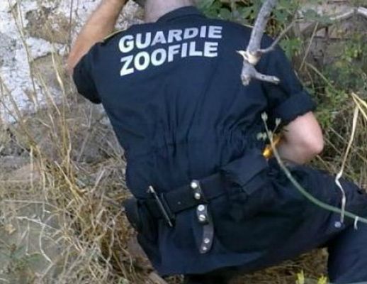 26112015 guardie enpa