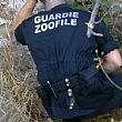 Cronaca foto - 26112015 guardie enpa