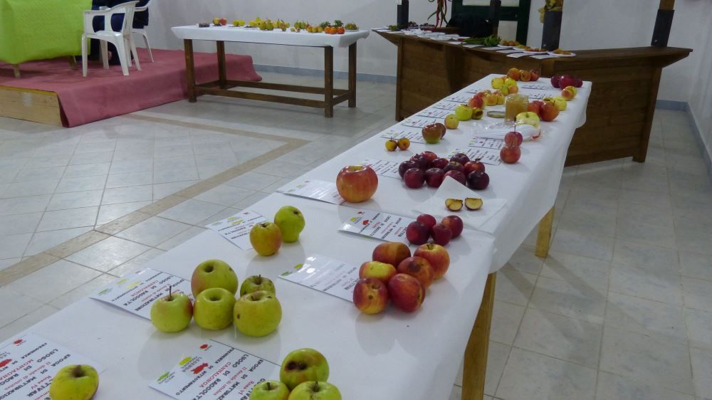 convegno frutti cilento
