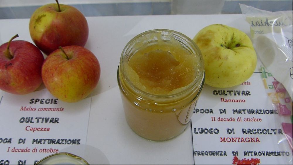 26112017 frutti antichi cilento