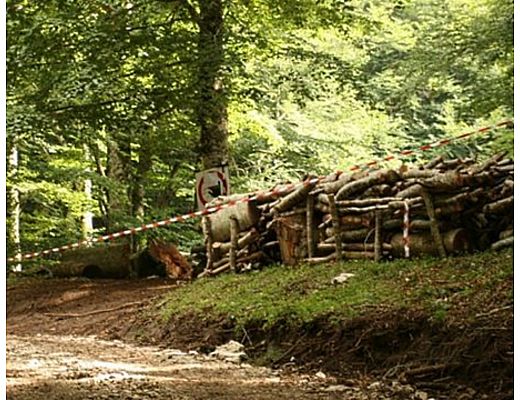 Paolo-Abbate foto - 26122014 art abbte 01