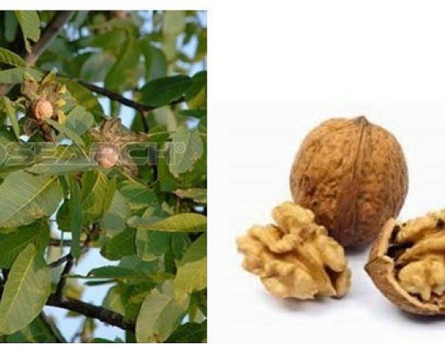 27012015 noci 27012015 noci